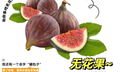 中药栀子的功效和作用及禁忌-中药知母的功效与作用及禁忌图片-知母中药知母的作用,中国中药知母的功效与作用及禁忌网站