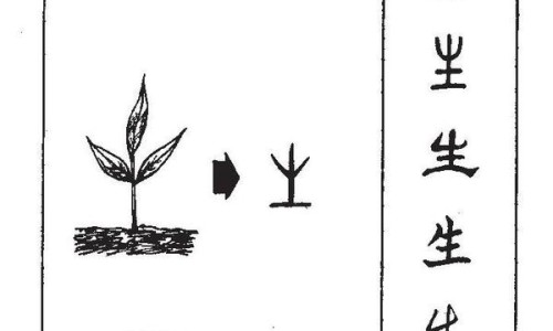 中药栀子的功效和作用及禁忌-中药知母的功效与作用及禁忌图片-知母中药知母的作用,中国中药知母的功效与作用及禁忌网站
